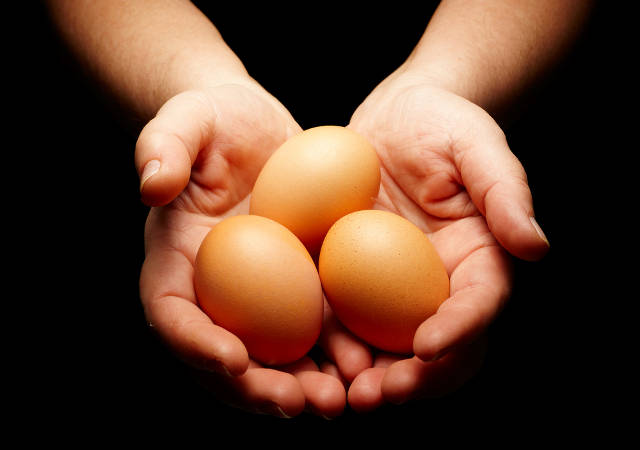 requirements to donate eggs in az