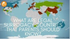 International Surrogacy Countries-What You Need To Know (2024)