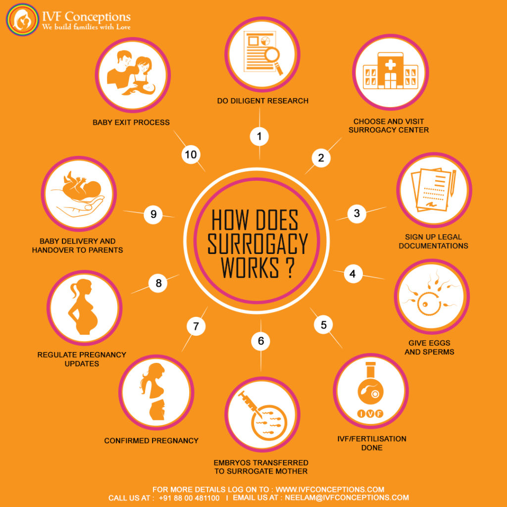 How Does Surrogacy Work Types Process Costs Risks And Legislation