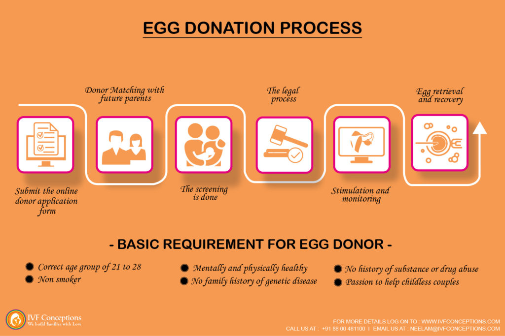 Egg Donation process made easy