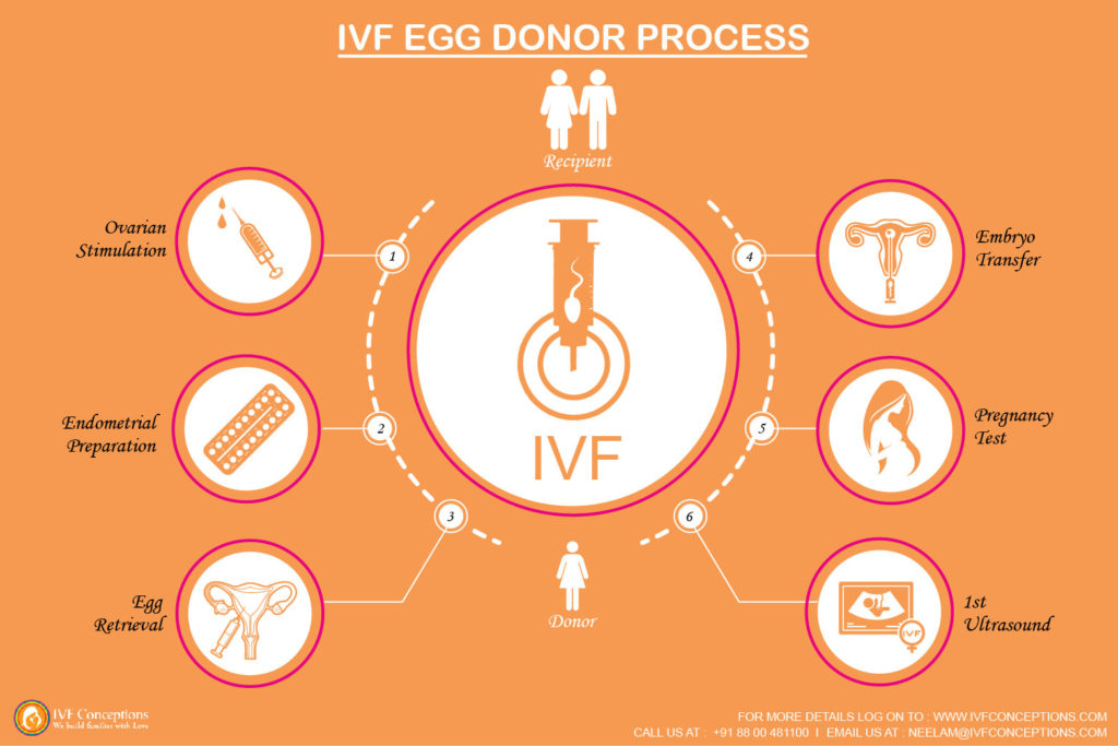 IVF surogacy process