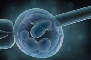 IVF SUCCESS FACTORS