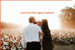 Low-Cost-Surrogacy-Options