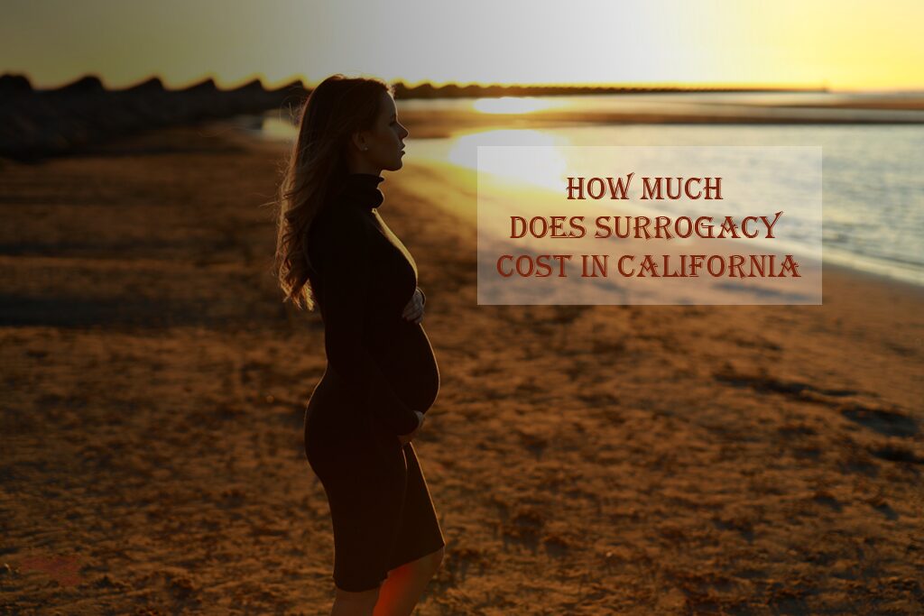 Surrogacy Cost in California