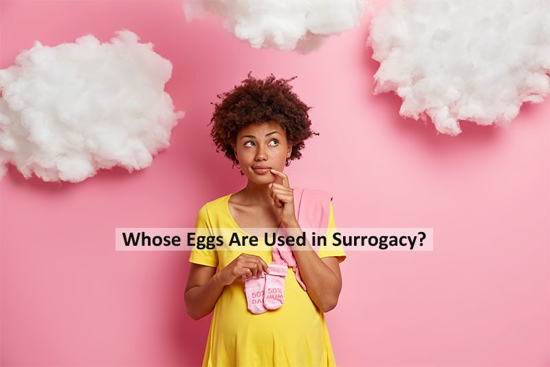 Whose-Eggs-Are-Used-in-Surrogacy