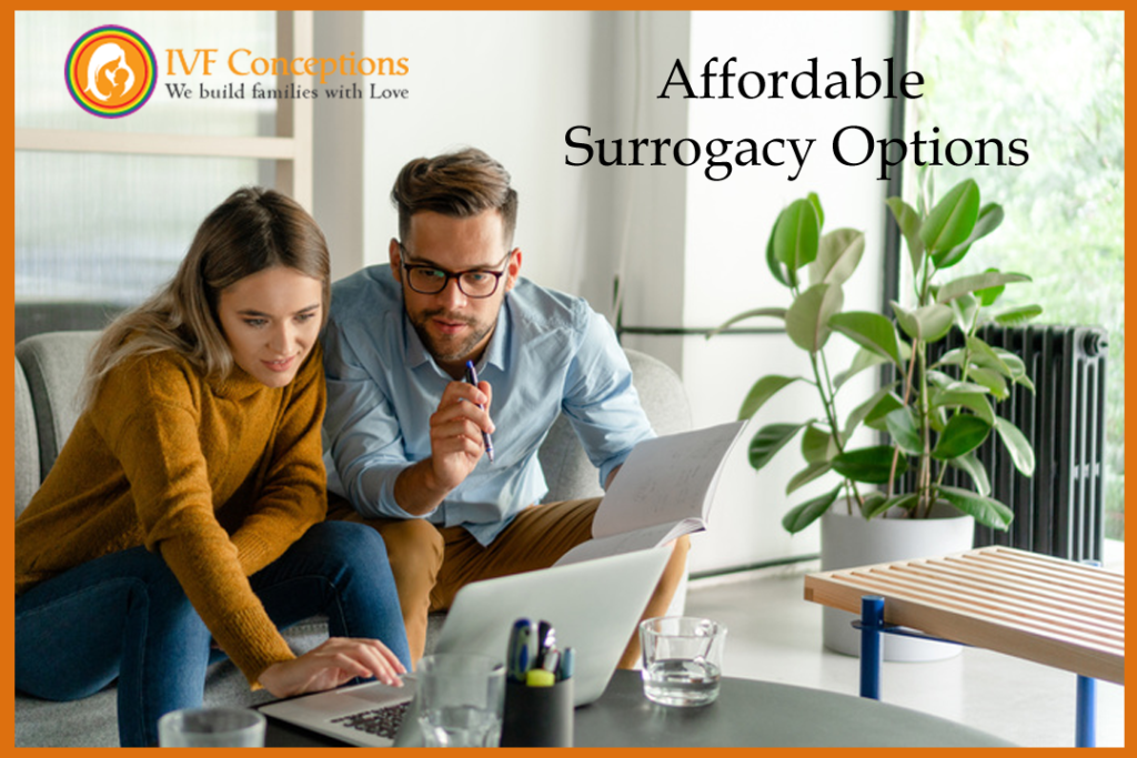 International Surrogacy cost