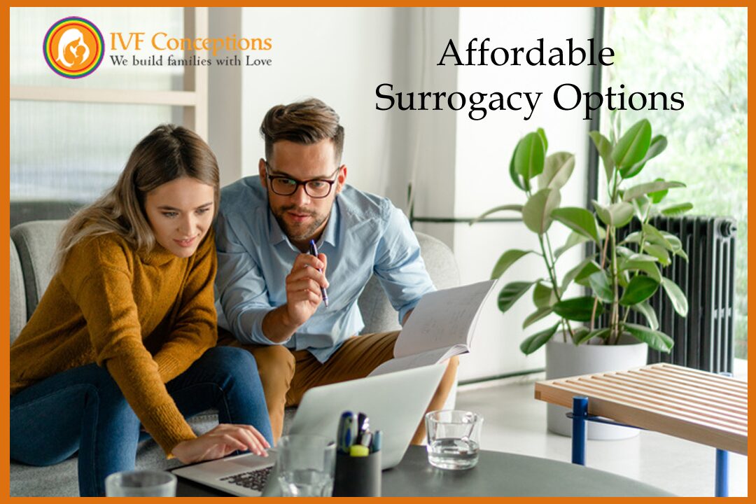 Affordable Surrogacy Options