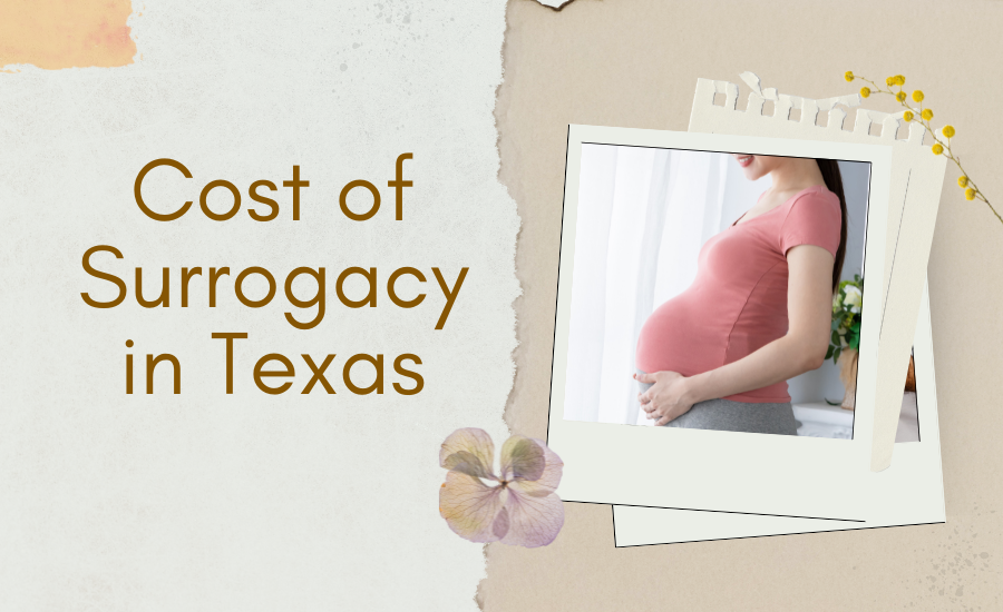 Cost of Surrogacy in Texas