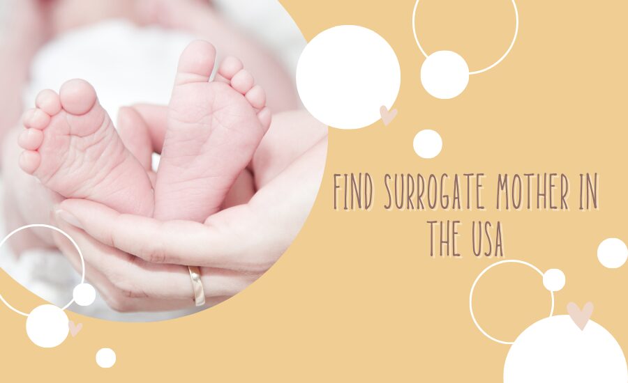 Find Surrogate Mother in the USA