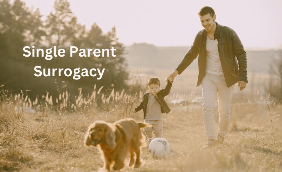 single parent surrogacy in Mexico