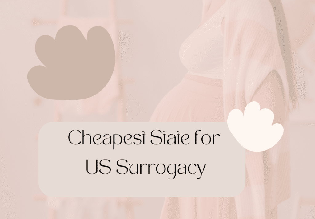 Cheapest State for Surrogacy in USA