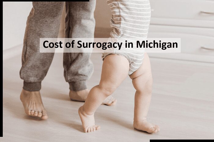 Cost of Surrogacy in Michigan