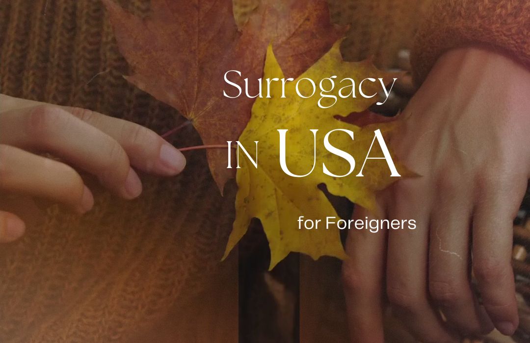 Surrogacy in USA