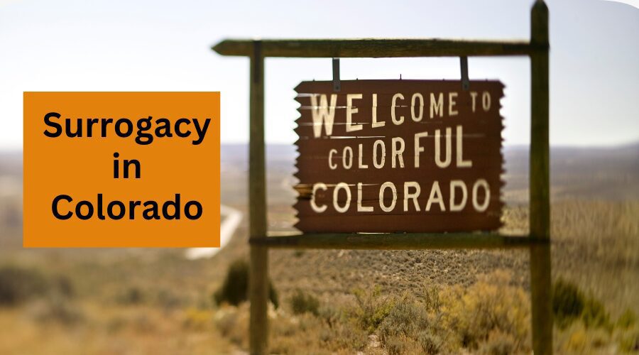 Cost of Surrogacy in Colorado