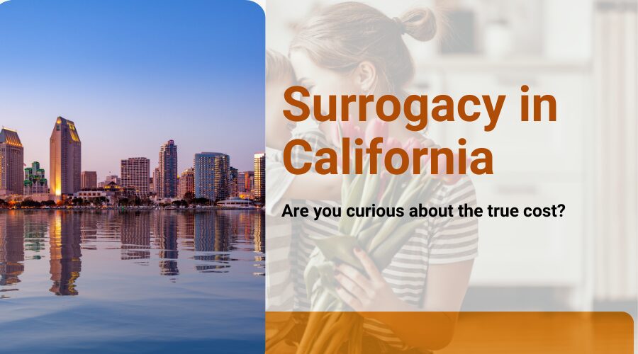 Cost of Surrogacy in California