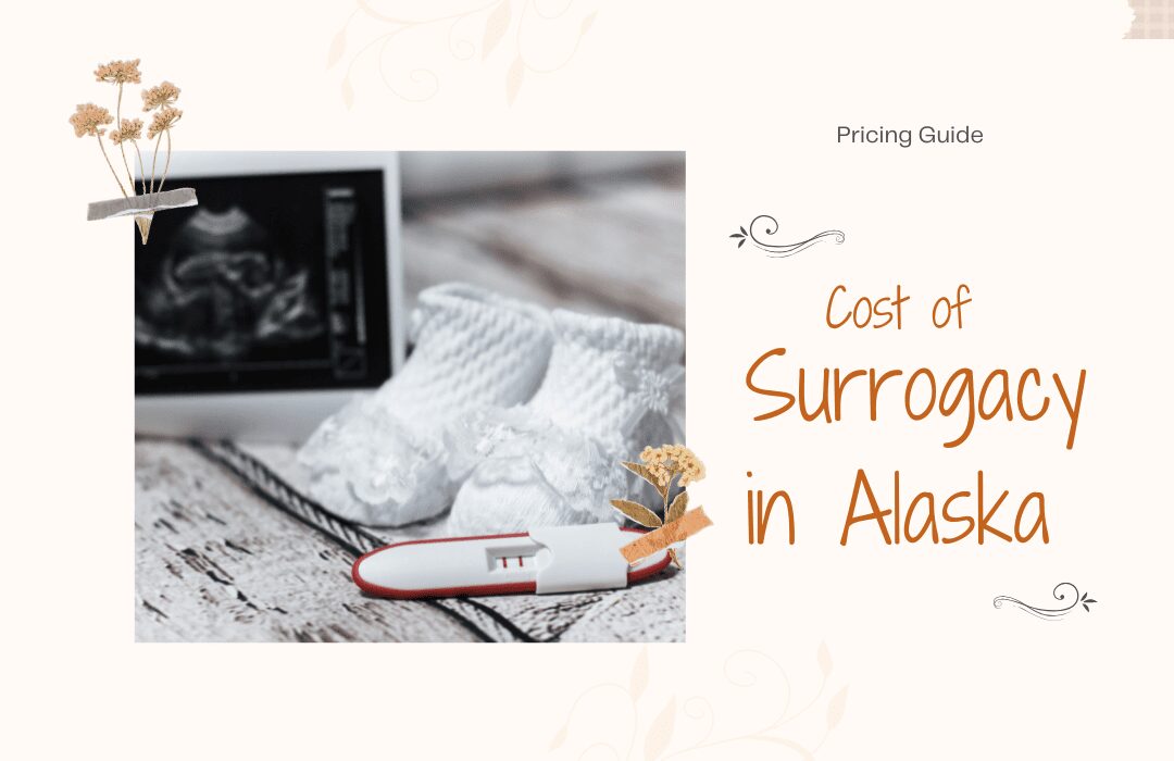 cost of surrogacy in alaska