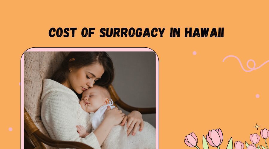 Cost of Surrogacy in Hawaii