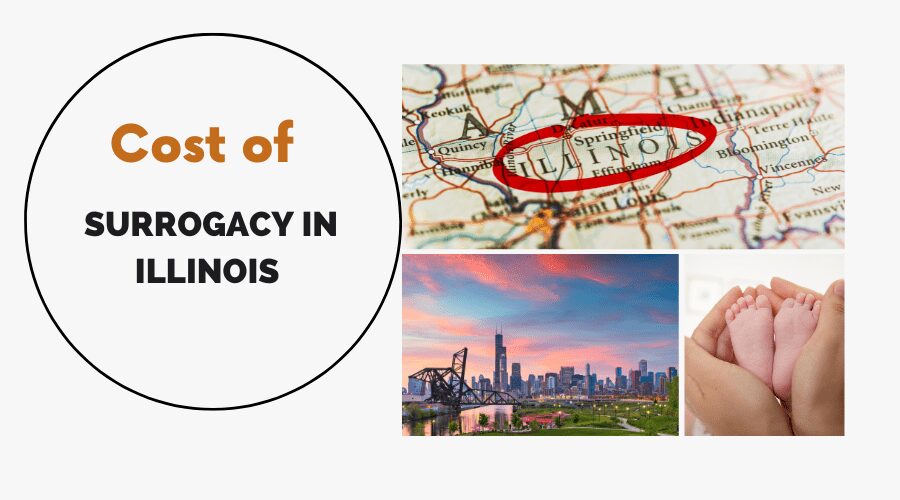 Cost of Surrogacy in Illinois