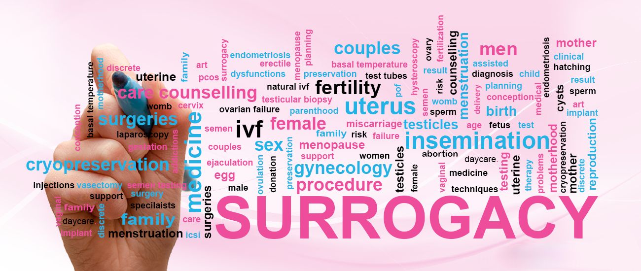 What Is Surrogate Pregnancy Meaning Ivf Conceptions 